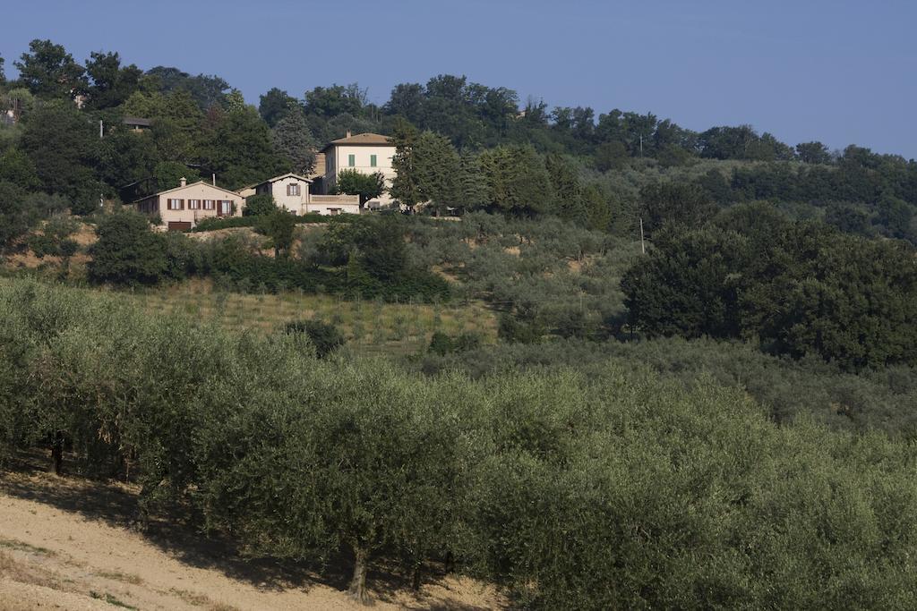 Agriturismo Il Girasole Montefalco Eksteriør billede