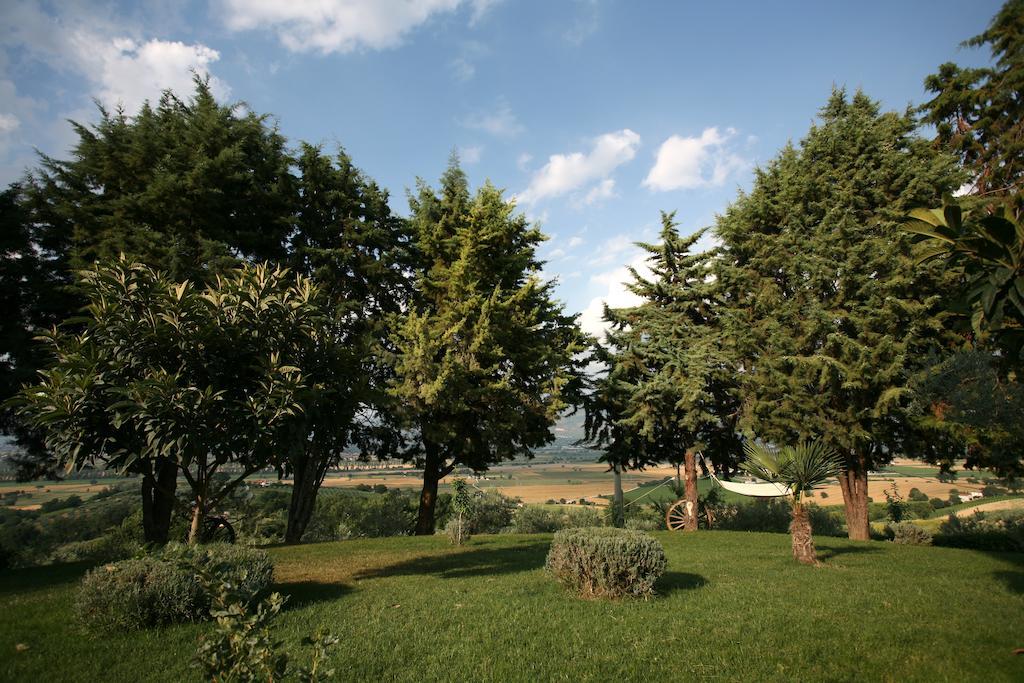 Agriturismo Il Girasole Montefalco Værelse billede