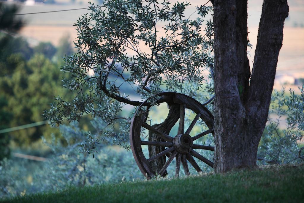 Agriturismo Il Girasole Montefalco Eksteriør billede